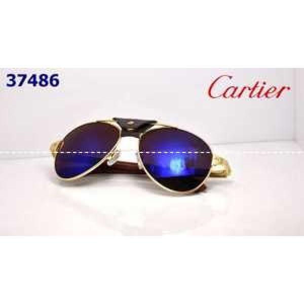 高級感演出 2026 CARTIER カルティエ サングラス