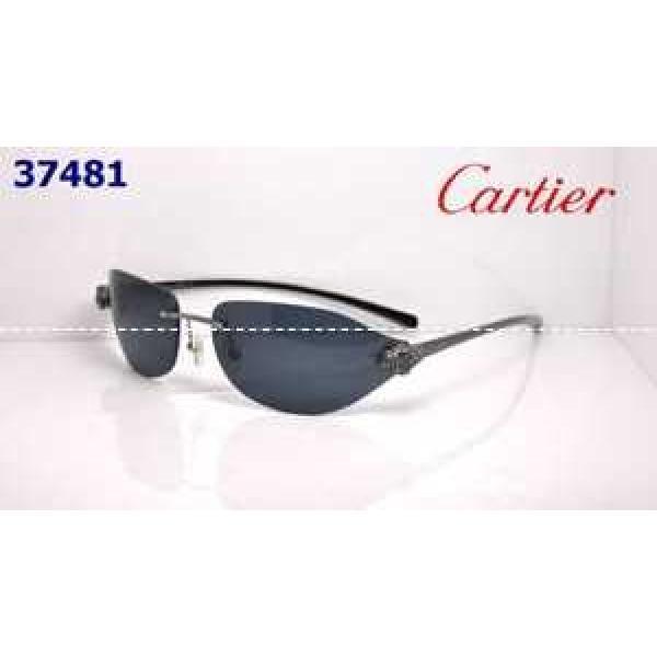2026 高級感演出CARTIER カルティエ サングラス