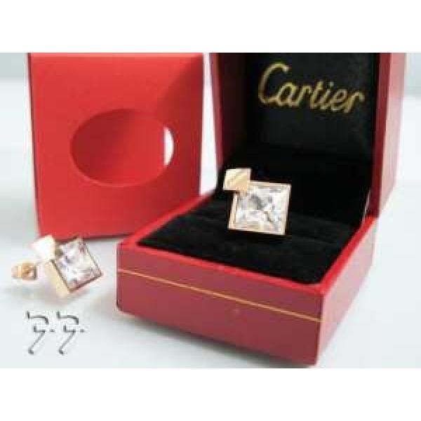 めちゃくちゃお得 2026春夏 CARTIER ブルガリピアス.225.