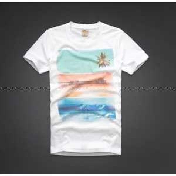 2026★新作セール アバクロンビー＆フィッチ 半袖Tシャツ H1093