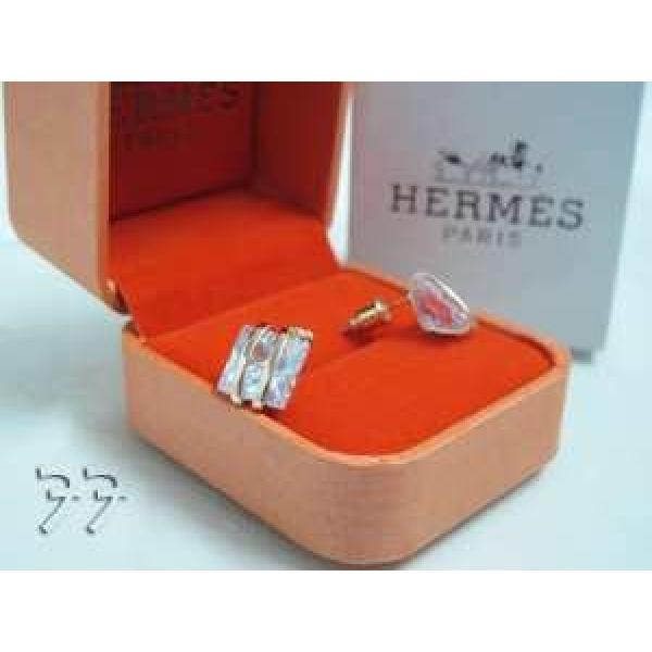 めちゃくちゃお得 2026春夏 HERMES イヤリング、ピアス.228.