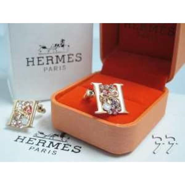 希少 2026春夏 HERMES イヤリング、ピアス.228.