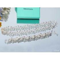 2026春夏新作コピーブランドTiffany & Co ティファニー上品なネックレス、ブレスレット2点セット.220.