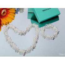 2026春夏新作コピーブランドTiffany & Co ティファニー上品なネックレス、ブレスレット2点セット.220.