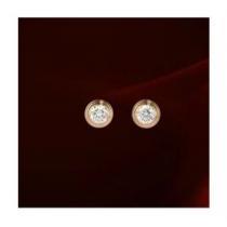 2026春夏新作CARTIER カルティエピアス.225.