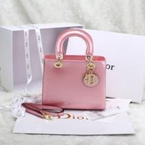 2026春夏 DIOR ディオール 完売品！手持ち&ショルダー掛け6889.58.