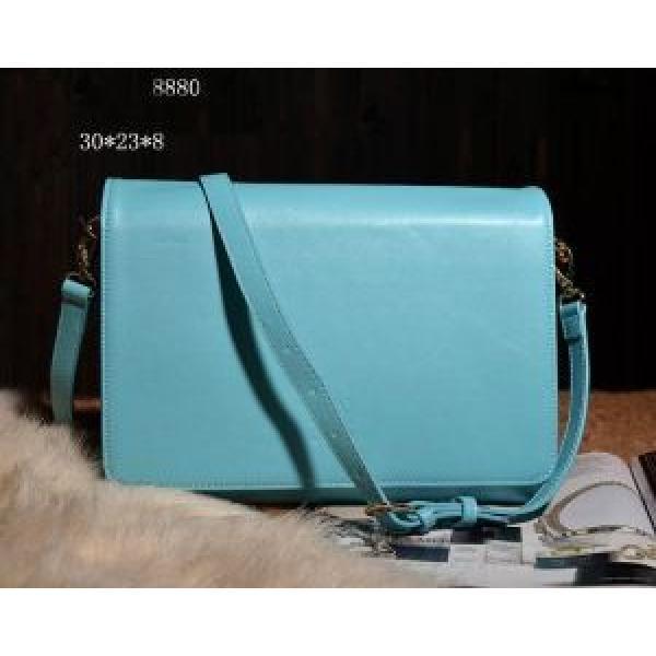2026春夏 超人気美品◆ LOEWE ロエベ 手持ち&amp;ショルダー掛け レディース.148.