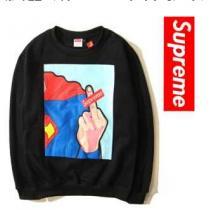 存在感のある　 2026 SUPREME シュプリーム プルオーバーパーカー