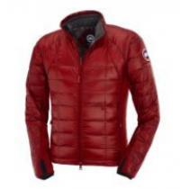 新品　2026秋冬 Canada Goose 自然な暖かさ　ダウンジャケット 7色可選 