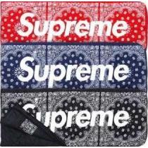 素敵な2026秋冬 AW Supreme x The NORTH FACE 大容量のあるスリーピングバッグ
