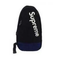 抜群 2026秋冬 SUPREME シュプリーム 便利性に溢れる斜め掛けバッグ ウエストポーチ 多色可選択.161.