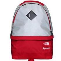 一味違うアイテム　シュプリーム　Supreme The North Face/Supreme Reflective 3M Medium Day Pack Backpack 大容量あるバッグ..161.
