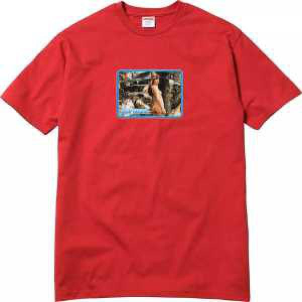  17ss品質保証最新作◆モデル愛用◆ Larry Clark Girl Tee   シュプリーム SUPREME 半袖Tシャツ 3色可選