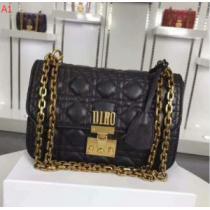ショルダーバッグ 高級感を引き立てる 2026-2026年モデル入荷ディオール DIOR 5色選択可.58.