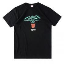 2026春夏新作 クールビズ 半袖Tシャツ シュプリーム SUPREME 個性的なデザイン 多色可選