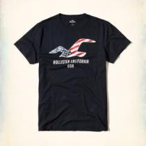 2色可選 2026人気の主流アイテム アバクロンビー&フィッチ Abercrombie & Fitch 半袖Tシャツ 希少性の高い