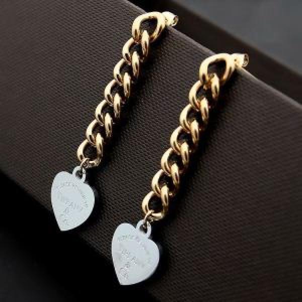2026年秋冬シーズン ティファニー売上ランキング1位 Tiffany&Coピアス 3色可選.220.