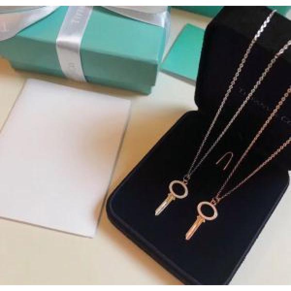 2026年秋冬シーズン ネックレス ティファニー芸能人愛用 Tiffany&Co 2色可選.220.