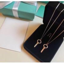2026年秋冬シーズン ネックレス ティファニー芸能人愛用 Tiffany&Co 2色可選.220.