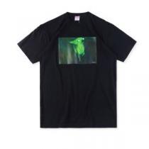 秋冬超人気の最新作 SUPREME シュプリーム 半袖Tシャツ 4色可選 Supreme 18FW Chris Cunningham Chihuahua Tee