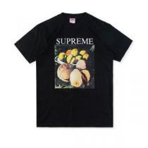 Supreme Still life T 2026年秋冬シーズン 上品でファッション SUPREME シュプリーム 半袖Tシャツ 多色可選