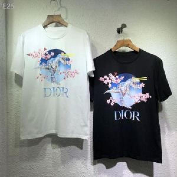 Tシャツ/ティーシャツ 定番のスタイル春夏限定  2色可選 新しい斬新なスタイル ディオール DIOR