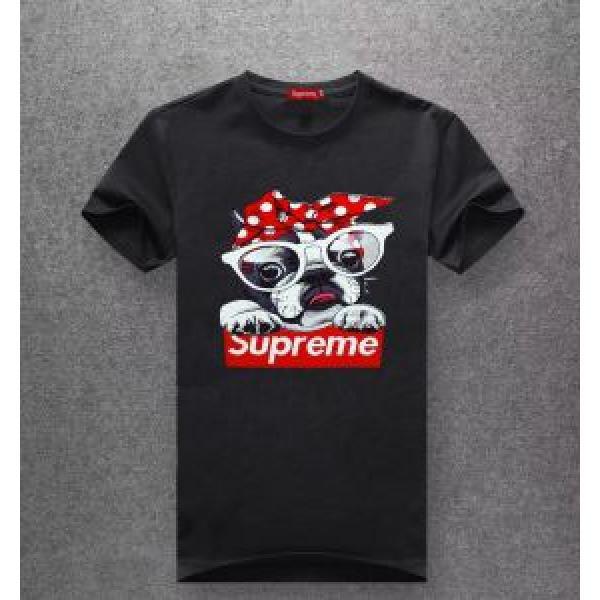 今人気の秘訣 シュプリーム SUPREME 半袖Tシャツ 多色可選 2026春夏人気トレンドアイテム