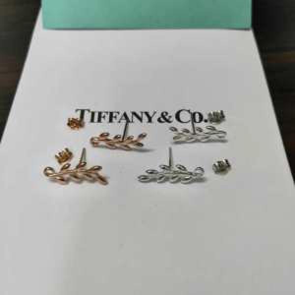 ピアス ぜひ今年のトレンドをチェック ティファニー Tiffany&Co2026年春夏流行ファッション 2色可選  ちょっと大人の印象.220.