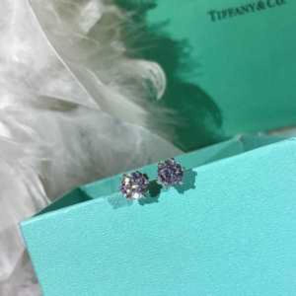 2026年最新ファッション ティファニー Tiffany&Coリッチな印象に  ピアス リラックススタイルが実現.220.