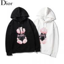 優しい雰囲気スタイリッシュに ディオール 【2026年】夏のファッション DIOR パーカー  2色可選