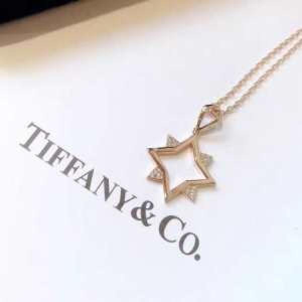 2026年春夏ファッションに最も ティファニー Tiffany&Co ネックレス 春夏アイテムから新たに登場！.220.
