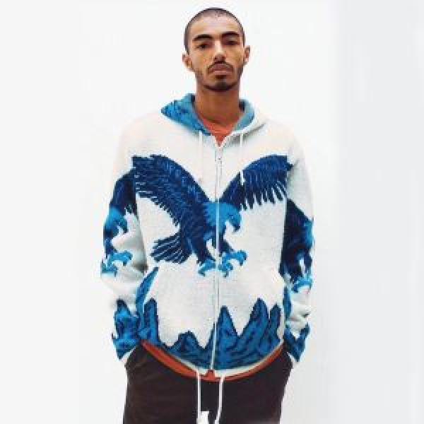 2026トレンドアイテム激安 パーカー 活躍するトレンドアイテムSUPREME Eagle Hooded Zip Up Sweater