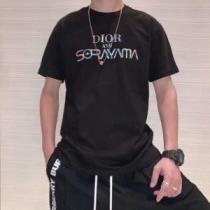 2色可選 人気ストリートブランド新品 ディオール DIOR 夏キレ味をプラス半袖Tシャツ 【2026春夏】最新コレクション