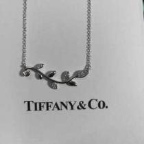 抜け感のあるスタイルが完成 ティファニー Tiffany&Co ネックレス 2026トレンド感満載なアイテム.220.