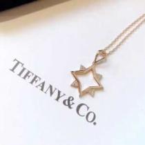 2026年春夏ファッションに最も ティファニー Tiffany&Co ネックレス 春夏アイテムから新たに登場！.220.