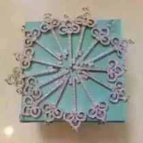 ネックレス ティファニー Tiffany&Co 春夏2026年の最新アイテム 大人っぽいスタイルが完成.220.