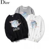 人気ブランドの秋冬新色 ディオール 着心地もなめらかで快適 DIOR 3色可選  プルオーバーパーカー 2026トレンドカラー秋冬セール