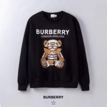 2色可選 プルオーバーパーカー 2026秋冬新作の相棒を大公開BURBERRY 人気ヒット秋冬新作 バーバリー