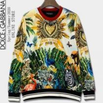 2026-2026秋冬のファッション プルオーバーパーカー Dolce&Gabbana ドルチェ＆ガッバーナ  即発送秋冬最新作