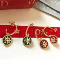 2色可選  ディオールお値段もお求めやすい DIOR  ピアス  ストリート界隈でも人気.222.