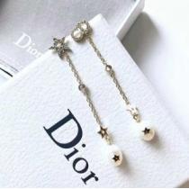 大人気柄 ディオール 2026話題の商品 DIOR  ピアス どのアイテムも手頃な価格で.222.