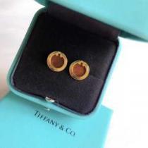 価格も嬉しいアイテム ティファニー 20新作です Tiffany&Co ピアス 一目惚れ級に.220.