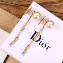 ディオール普段使いにも最適なアイテム  DIOR 安心安全人気通販 イヤリング ストリート界隈でも人気.222.