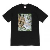 半袖Tシャツ さらに魅力的 3色可選 シュプリーム シンプルなファッション SUPREME  2026モデル