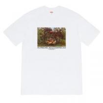 20新作です 半袖Tシャツ 2色可選 ストリート界隈でも人気 シュプリーム SUPREME デザインお洒落