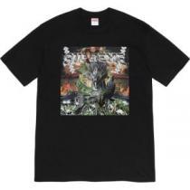 多色可選 2026話題の商品 半袖Tシャツ お値段もお求めやすい シュプリーム 安心の実績 SUPREME