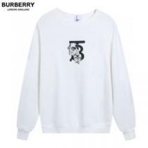 2026AW 3色可選 BURBERRYブランドスーパーコピー プルオーバーパーカー ファション性の高い バーバリー コピー
