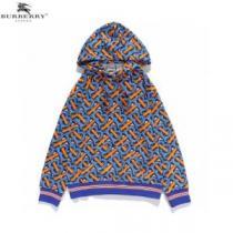 落ち着いた感覚 パーカー バーバリー コピー 大人っぼい BURBERRY コピー 2026AW 