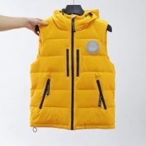 大人のセンスを感じさせる カナダグース Canada Goose ダウンベスト ダウンジャケット 2026秋冬 カナダグース偽物ブランド 4色可選