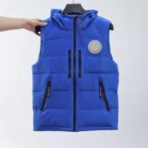 大人のセンスを感じさせる カナダグース Canada Goose ダウンベスト ダウンジャケット 2026秋冬 カナダグース偽物ブランド 4色可選
